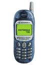 Best available price of Motorola T190 in Easttimor