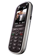 Best available price of Motorola WX288 in Easttimor