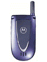 Best available price of Motorola V66i in Easttimor